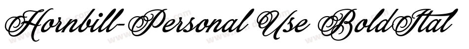 Hornbill-Personal Use BoldItalic字体转换